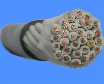 ||金牌产品||淮北计算机电缆报价//淮北电线电缆生产厂家-由天津市电缆总厂第一分厂发布-中国五金商机网提供平台!